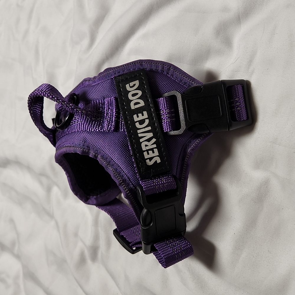XS service dog harness. Purple